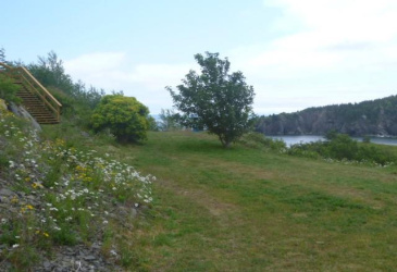 200 MAIN STREET, SALMON COVE, Newfoundland, Canada A0A 3S0, ,3 BathroomsBathrooms,Residential,Sold,MAIN STREET,5905