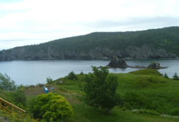 200 MAIN STREET, SALMON COVE, Newfoundland, Canada A0A 3S0, ,3 BathroomsBathrooms,Residential,Sold,MAIN STREET,5905