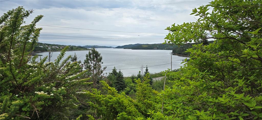 48 SALT POND ROAD, BURIN BAY ARM, Newfoundland, Canada A0E 1G0, ,2 BathroomsBathrooms,Residential,Sold,SALT POND ROAD,5909
