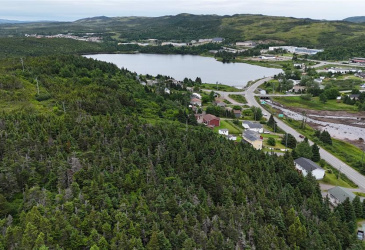 48 SALT POND ROAD, BURIN BAY ARM, Newfoundland, Canada A0E 1G0, ,2 BathroomsBathrooms,Residential,Sold,SALT POND ROAD,5909