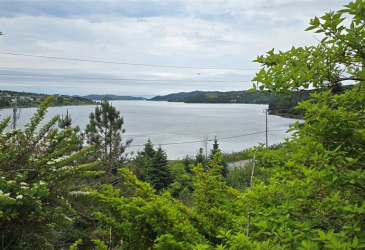 48 SALT POND ROAD, BURIN BAY ARM, Newfoundland, Canada A0E 1G0, ,2 BathroomsBathrooms,Residential,Sold,SALT POND ROAD,5909