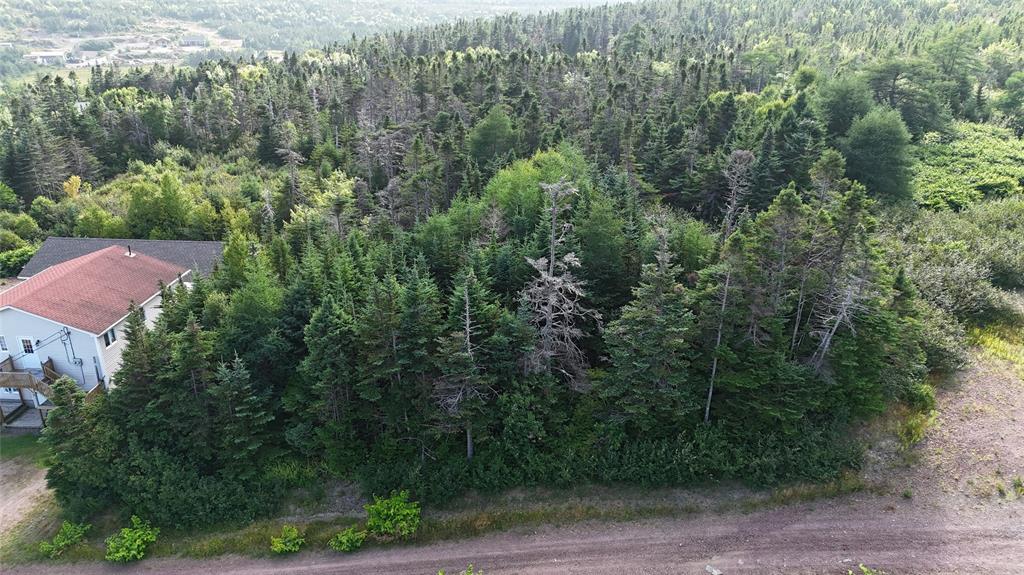 100C MAIN STREET, LEWIN'S COVE, Newfoundland, Canada A0E 2G0, ,Residential,For Sale,MAIN STREET,5915