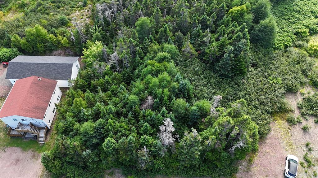 100C MAIN STREET, LEWIN'S COVE, Newfoundland, Canada A0E 2G0, ,Residential,For Sale,MAIN STREET,5915