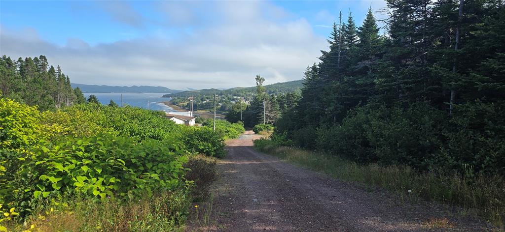 100C MAIN STREET, LEWIN'S COVE, Newfoundland, Canada A0E 2G0, ,Residential,For Sale,MAIN STREET,5915