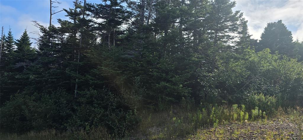 100C MAIN STREET, LEWIN'S COVE, Newfoundland, Canada A0E 2G0, ,Residential,For Sale,MAIN STREET,5915