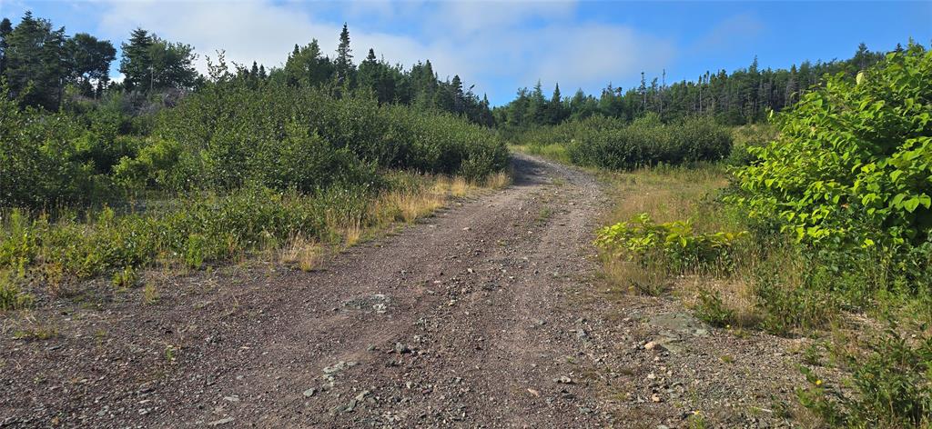 100C MAIN STREET, LEWIN'S COVE, Newfoundland, Canada A0E 2G0, ,Residential,For Sale,MAIN STREET,5915