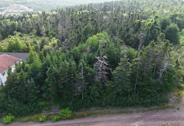 100C MAIN STREET, LEWIN'S COVE, Newfoundland, Canada A0E 2G0, ,Residential,For Sale,MAIN STREET,5915
