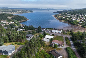 100C MAIN STREET, LEWIN'S COVE, Newfoundland, Canada A0E 2G0, ,Residential,For Sale,MAIN STREET,5915