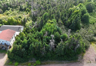 100C MAIN STREET, LEWIN'S COVE, Newfoundland, Canada A0E 2G0, ,Residential,For Sale,MAIN STREET,5915