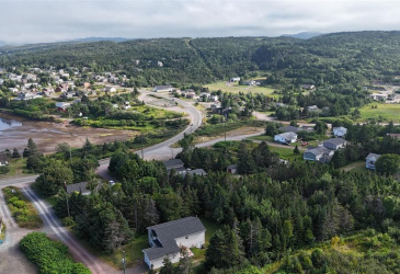 100C MAIN STREET, LEWIN'S COVE, Newfoundland, Canada A0E 2G0, ,Residential,For Sale,MAIN STREET,5915