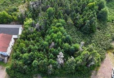 100C MAIN STREET, LEWIN'S COVE, Newfoundland, Canada A0E 2G0, ,Residential,For Sale,MAIN STREET,5915