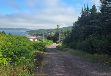 100C MAIN STREET, LEWIN'S COVE, Newfoundland, Canada A0E 2G0, ,Residential,For Sale,MAIN STREET,5915