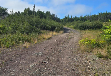 100C MAIN STREET, LEWIN'S COVE, Newfoundland, Canada A0E 2G0, ,Residential,For Sale,MAIN STREET,5915