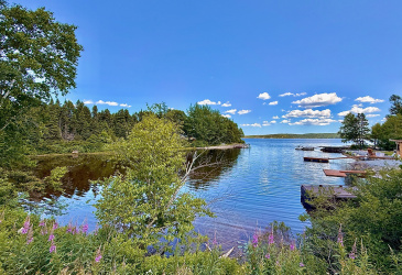6 THORBURN LAKE ROAD, THORBURN LAKE, Newfoundland, Canada A0C 2G0, ,3 BathroomsBathrooms,Residential,For Sale,THORBURN LAKE ROAD,5917