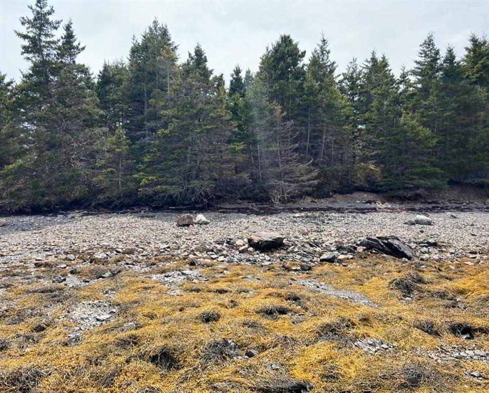 213A CRESTON BOULEVARD, MARYSTOWN, Newfoundland, Canada A0E 2M0, ,Residential,For Sale,CRESTON BOULEVARD,5919
