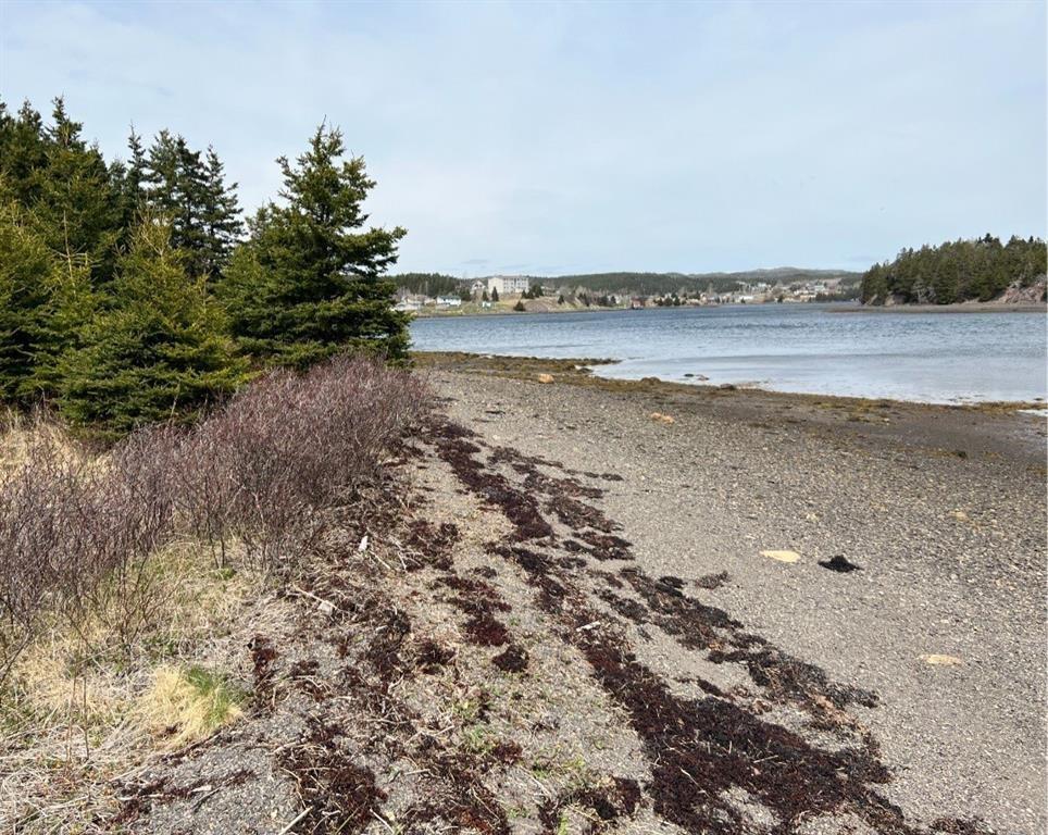 213A CRESTON BOULEVARD, MARYSTOWN, Newfoundland, Canada A0E 2M0, ,Residential,For Sale,CRESTON BOULEVARD,5919