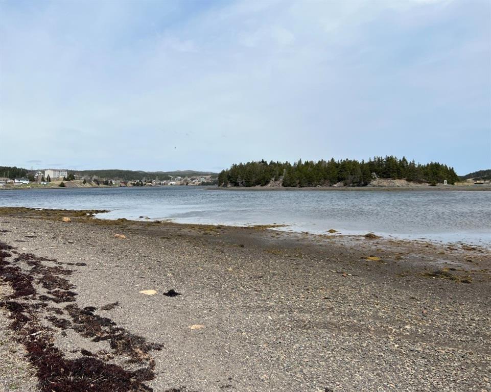 213A CRESTON BOULEVARD, MARYSTOWN, Newfoundland, Canada A0E 2M0, ,Residential,For Sale,CRESTON BOULEVARD,5919