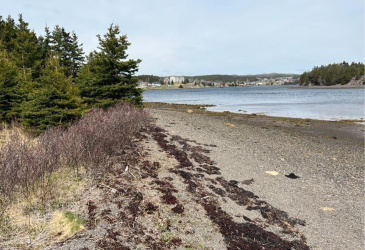 213A CRESTON BOULEVARD, MARYSTOWN, Newfoundland, Canada A0E 2M0, ,Residential,For Sale,CRESTON BOULEVARD,5919
