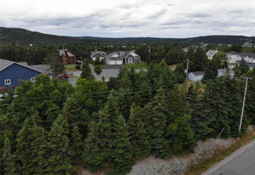 3 KENT PLACE, CLARKE'S BEACH, Newfoundland, Canada A0A 1W0, ,Residential,For Sale,KENT PLACE,5927