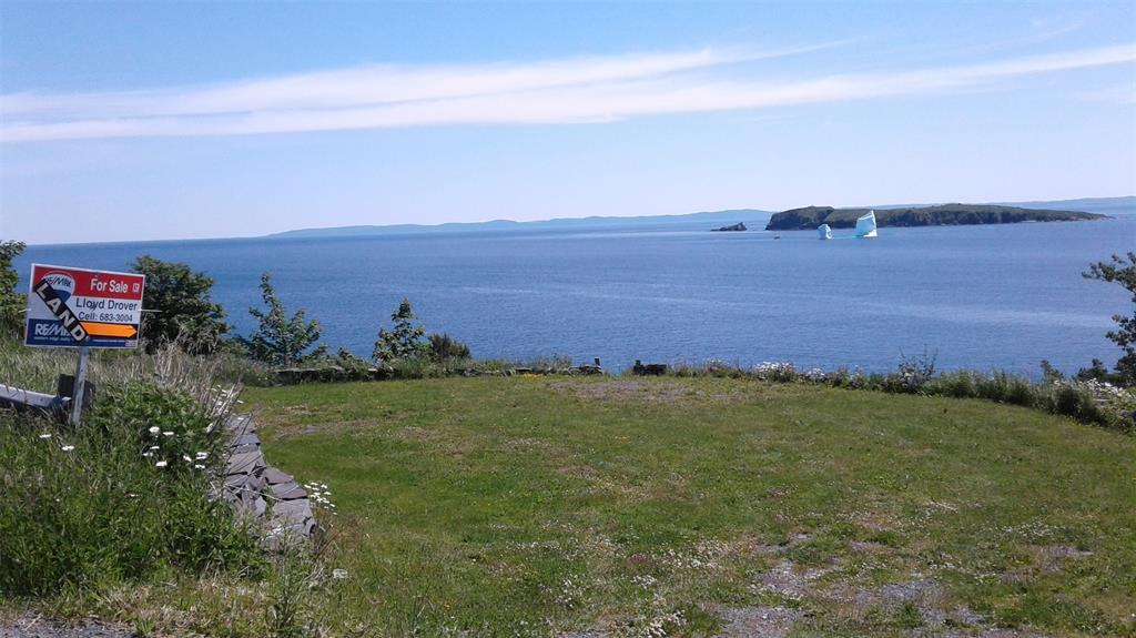 20 FRESHWATER ROAD, CARBONEAR, Newfoundland, Canada A1Y 1C5, ,Residential,For Sale,FRESHWATER ROAD,5932
