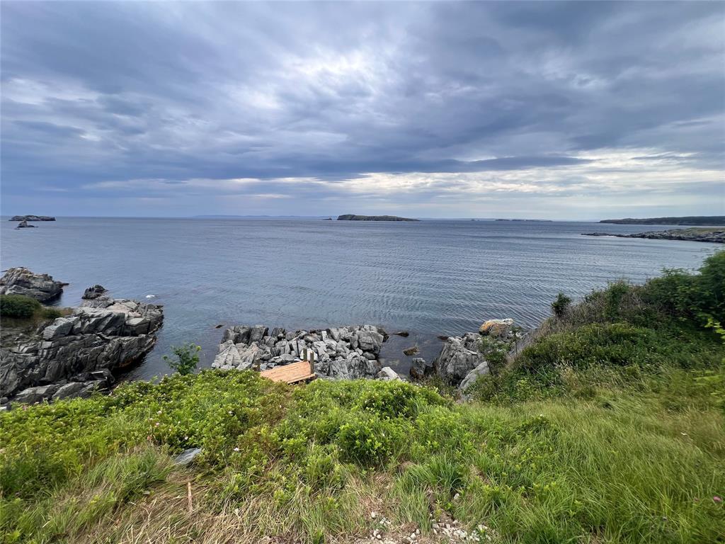 20 FRESHWATER ROAD, CARBONEAR, Newfoundland, Canada A1Y 1C5, ,Residential,For Sale,FRESHWATER ROAD,5932