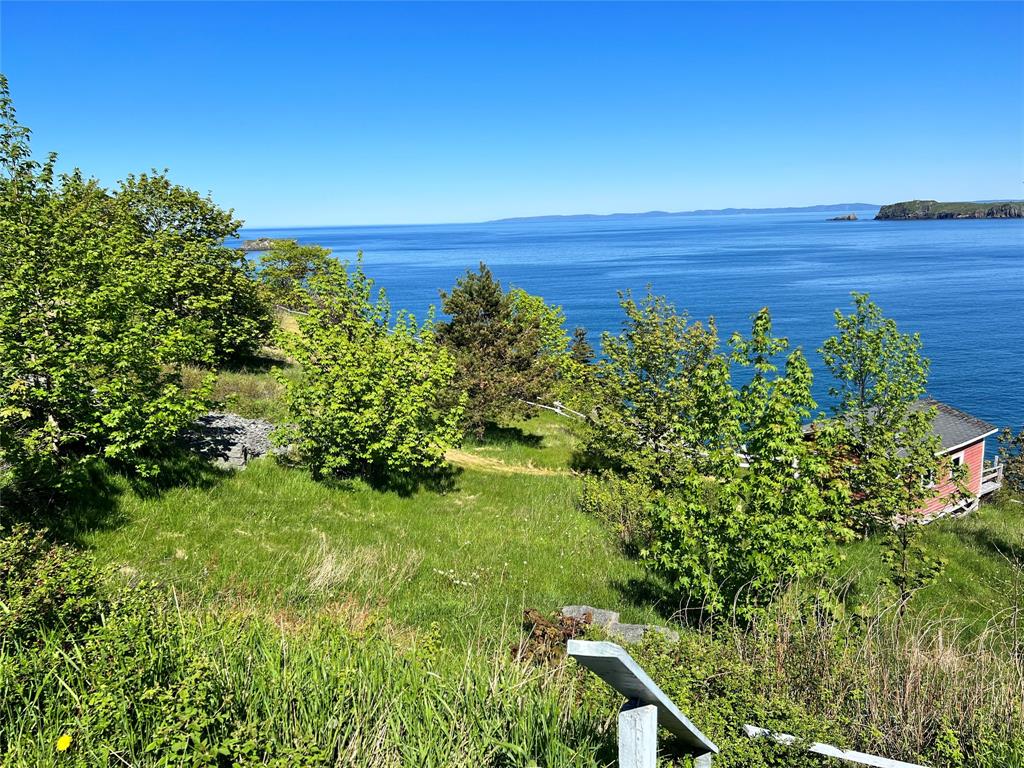 20 FRESHWATER ROAD, CARBONEAR, Newfoundland, Canada A1Y 1C5, ,Residential,For Sale,FRESHWATER ROAD,5932