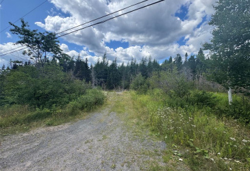 00 SNOOKS HARBOUR ROAD, ELLIOTT"S COVE, Newfoundland, Canada A5A 3A1, ,Land,For Sale,SNOOKS HARBOUR ROAD,5947