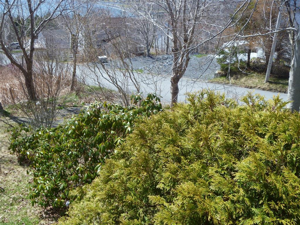 32-34 BEMISTER'S HILL, CARBONEAR, Newfoundland, Canada A1Y 1B7, ,1 BathroomBathrooms,Residential,Sale Pending,BEMISTER'S HILL,5949