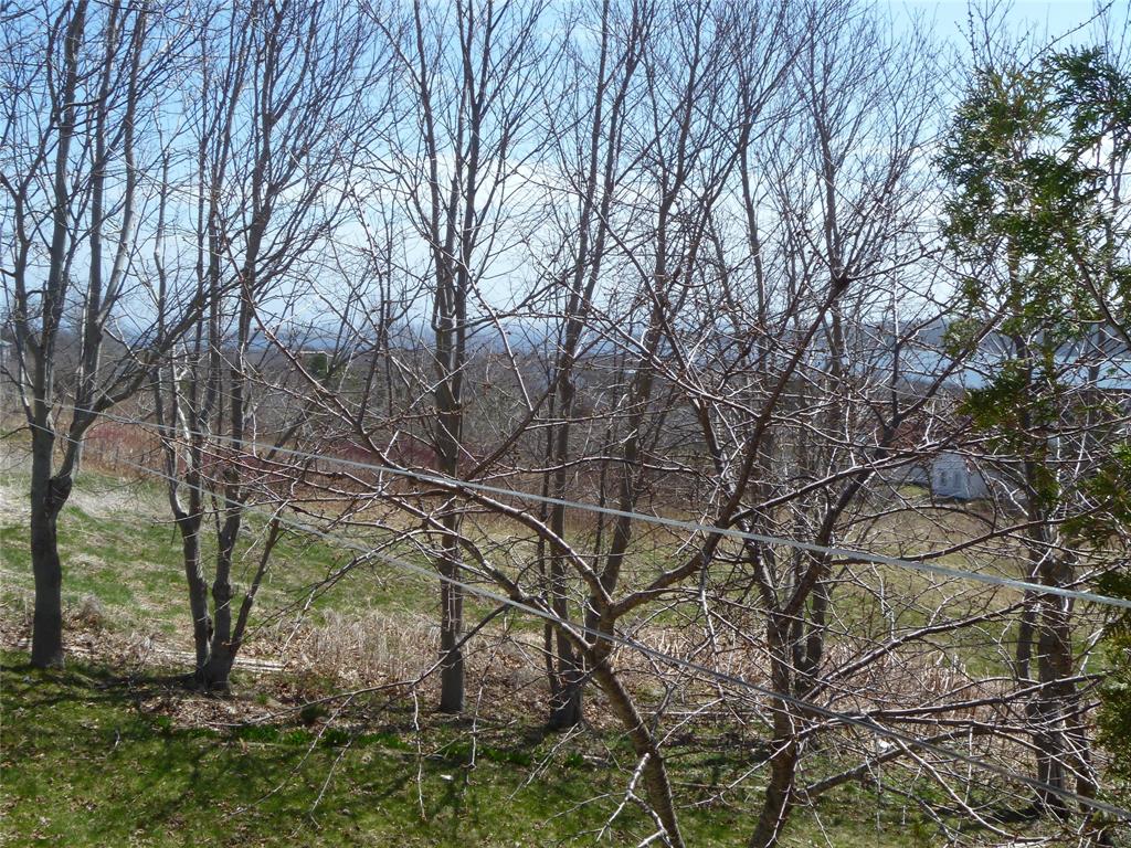 32-34 BEMISTER'S HILL, CARBONEAR, Newfoundland, Canada A1Y 1B7, ,1 BathroomBathrooms,Residential,Sale Pending,BEMISTER'S HILL,5949