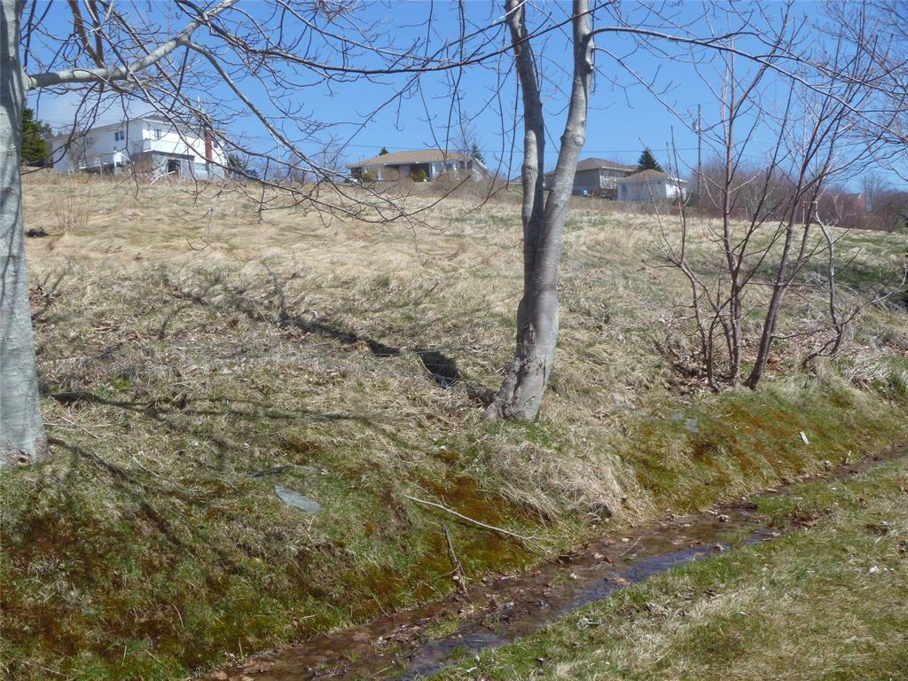 32-34 BEMISTER'S HILL, CARBONEAR, Newfoundland, Canada A1Y 1B7, ,1 BathroomBathrooms,Residential,Sale Pending,BEMISTER'S HILL,5949