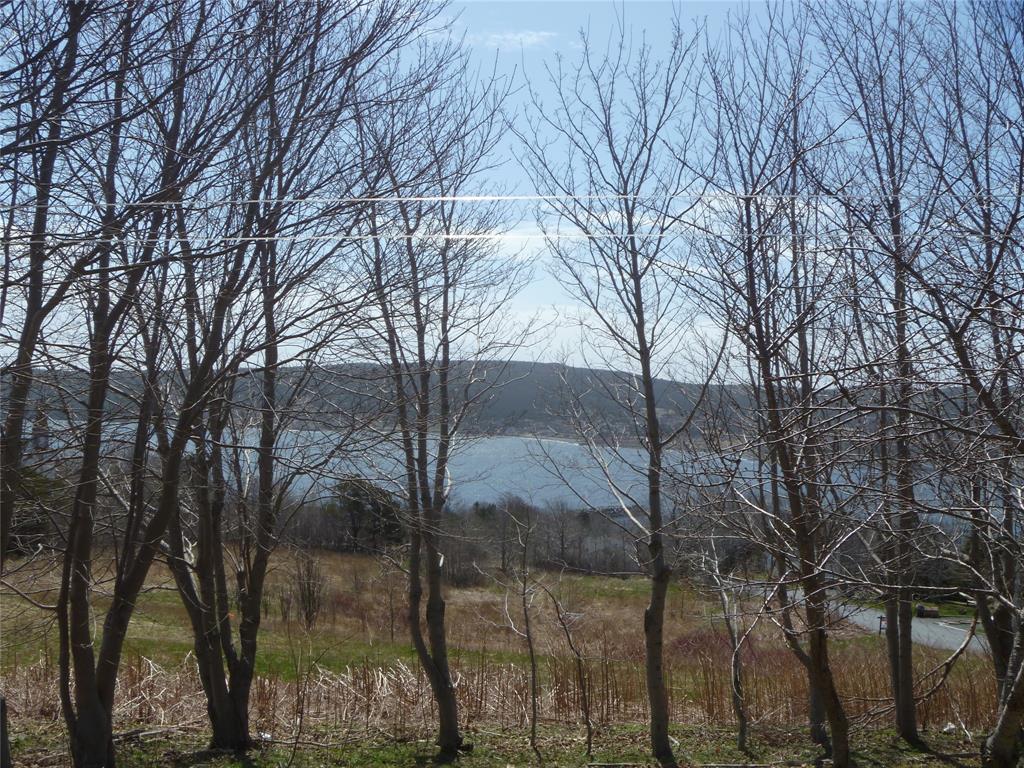 32-34 BEMISTER'S HILL, CARBONEAR, Newfoundland, Canada A1Y 1B7, ,1 BathroomBathrooms,Residential,Sale Pending,BEMISTER'S HILL,5949