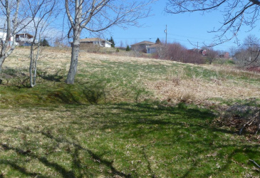 32-34 BEMISTER'S HILL, CARBONEAR, Newfoundland, Canada A1Y 1B7, ,1 BathroomBathrooms,Residential,Sale Pending,BEMISTER'S HILL,5949