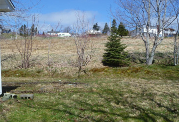 32-34 BEMISTER'S HILL, CARBONEAR, Newfoundland, Canada A1Y 1B7, ,1 BathroomBathrooms,Residential,Sale Pending,BEMISTER'S HILL,5949