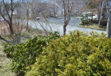 32-34 BEMISTER'S HILL, CARBONEAR, Newfoundland, Canada A1Y 1B7, ,1 BathroomBathrooms,Residential,Sale Pending,BEMISTER'S HILL,5949