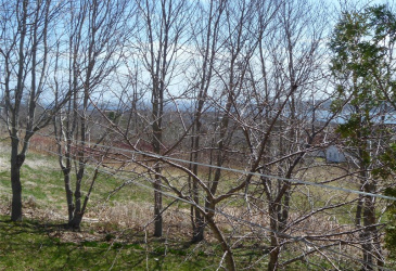 32-34 BEMISTER'S HILL, CARBONEAR, Newfoundland, Canada A1Y 1B7, ,1 BathroomBathrooms,Residential,Sale Pending,BEMISTER'S HILL,5949