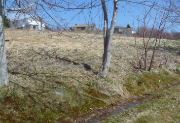 32-34 BEMISTER'S HILL, CARBONEAR, Newfoundland, Canada A1Y 1B7, ,1 BathroomBathrooms,Residential,Sale Pending,BEMISTER'S HILL,5949