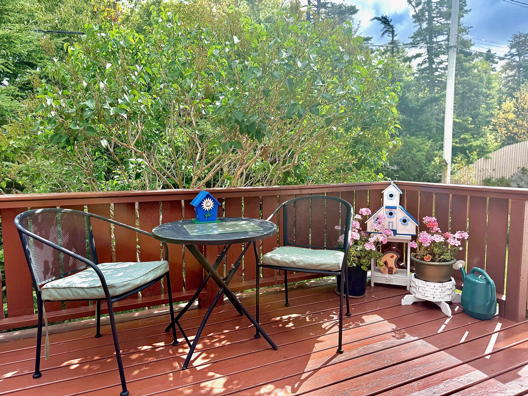 21 HIBERNIA DRIVE, CLARENVILLE, Newfoundland, Canada A5A 1H5, ,3 BathroomsBathrooms,Residential,Sale Pending,HIBERNIA DRIVE,5959