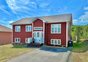 33 CLYDE AVENUE, CLARENVILLE, Newfoundland, Canada A5A 0B3, ,3 BathroomsBathrooms,Residential,Reduced,CLYDE AVENUE,5964