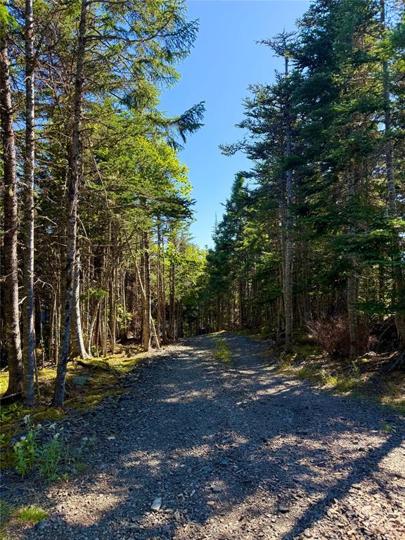 0 LETHBRIDGE FOREST ACCESS ROAD, MEETING POND, Newfoundland, Canada A0C 1B0, ,1 BathroomBathrooms,Residential,For Sale,LETHBRIDGE FOREST ACCESS ROAD,5965