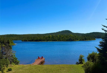0 LETHBRIDGE FOREST ACCESS ROAD, MEETING POND, Newfoundland, Canada A0C 1B0, ,1 BathroomBathrooms,Residential,For Sale,LETHBRIDGE FOREST ACCESS ROAD,5965