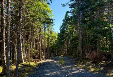 0 LETHBRIDGE FOREST ACCESS ROAD, MEETING POND, Newfoundland, Canada A0C 1B0, ,1 BathroomBathrooms,Residential,For Sale,LETHBRIDGE FOREST ACCESS ROAD,5965