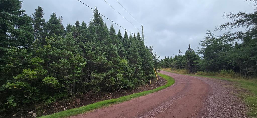 28A MARINE DRIVE, MARYSTOWN, Newfoundland, Canada A0E 2M0, ,Land,For Sale,MARINE DRIVE,5967
