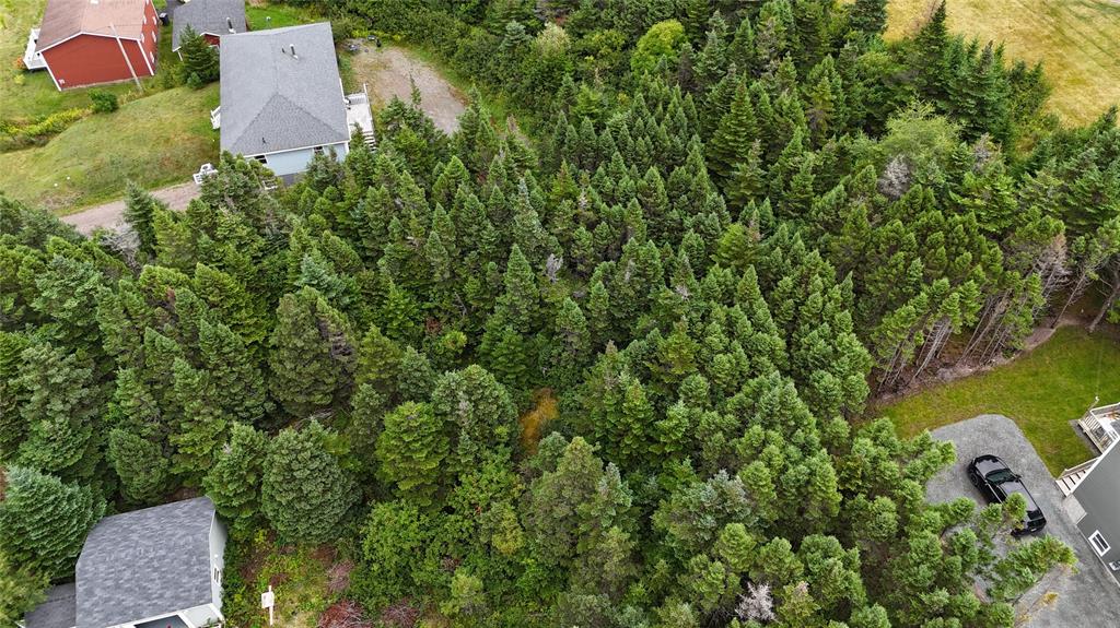 28A MARINE DRIVE, MARYSTOWN, Newfoundland, Canada A0E 2M0, ,Land,For Sale,MARINE DRIVE,5967