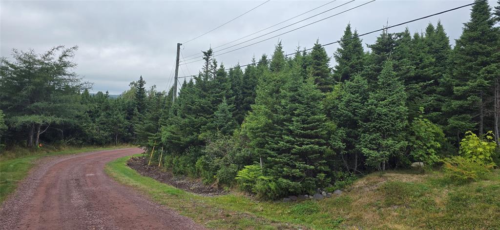 28A MARINE DRIVE, MARYSTOWN, Newfoundland, Canada A0E 2M0, ,Land,For Sale,MARINE DRIVE,5967
