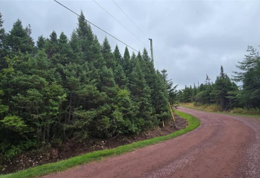 28A MARINE DRIVE, MARYSTOWN, Newfoundland, Canada A0E 2M0, ,Land,For Sale,MARINE DRIVE,5967