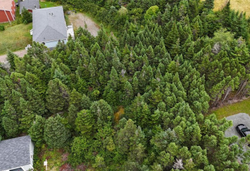 28A MARINE DRIVE, MARYSTOWN, Newfoundland, Canada A0E 2M0, ,Land,For Sale,MARINE DRIVE,5967