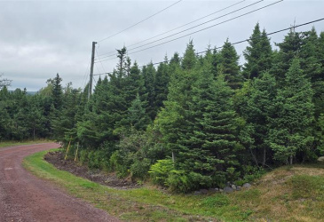 28A MARINE DRIVE, MARYSTOWN, Newfoundland, Canada A0E 2M0, ,Land,For Sale,MARINE DRIVE,5967