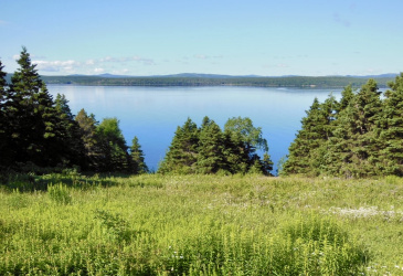 0 BAILEY'S LANE, HARCOURT, Newfoundland, Canada A5A 3A1, ,Land,For Sale,BAILEY'S LANE,5969