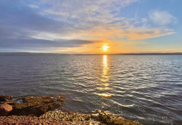 0 BAILEY'S LANE, HARCOURT, Newfoundland, Canada A5A 3A1, ,Land,For Sale,BAILEY'S LANE,5969