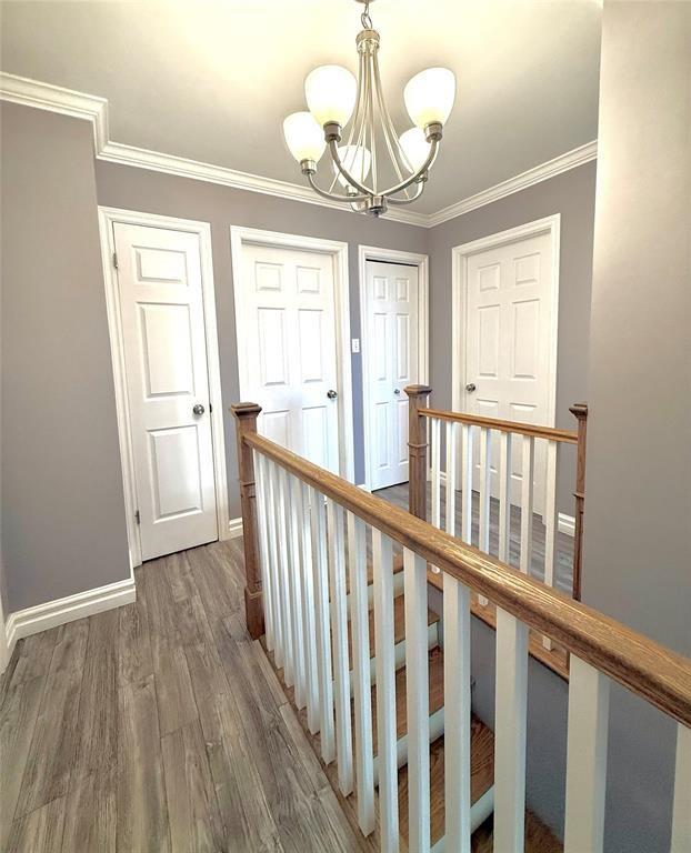 10 WHITE ROSE PLACE, CLARENVILLE, Newfoundland, Canada A5A 2B4, ,2 BathroomsBathrooms,Residential,For Sale,WHITE ROSE PLACE,5972